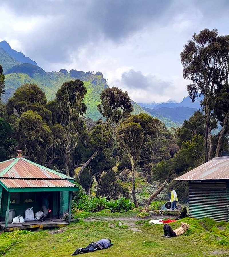 3-days-rwenzori-trekking-to-john-matte-camp
